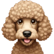 Poodles  sticker
