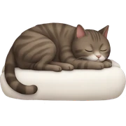 Sleeping cat sticker
