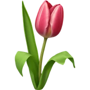 tulip sticker