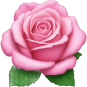 Rosa sticker