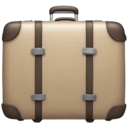 luggage sticker