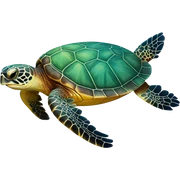 Sea turtle sticker