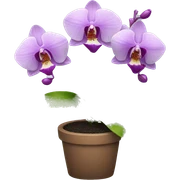 Orchid plant  sticker