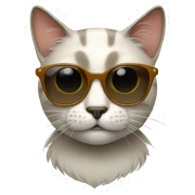 Cat with sunglasses sticker