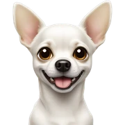 chihuahua white dog  sticker