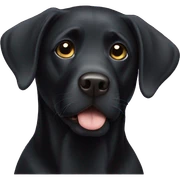 black labrador sticker