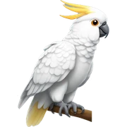 Cockatoo  sticker