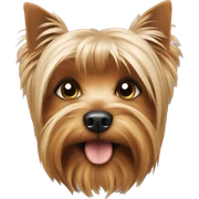 Yorkshire terrier  sticker