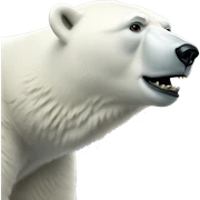 polar bear sticker