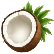 coconut sticker