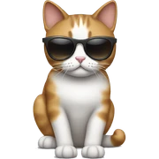 Cat with sunglasses sticker