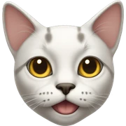 Side eye cat sticker