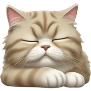 sleeping persian cat sticker