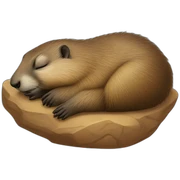 Marmot sleep sticker