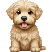 Little cute havapoo beige sticker