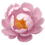 Peony sticker