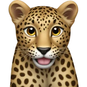 leopard heart  sticker