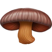 lingzhi reishi sticker