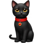 Small black cat wearing red collar with belt sticker