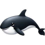 Black and white whale cute sticker