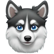 Black and white pomsky blue eyes sticker