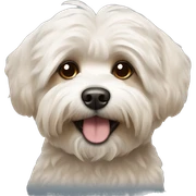 Brown bichon havanese dog sticker