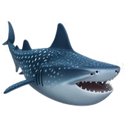 Whale shark sticker