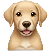 Baby lab sticker