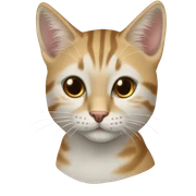 кошка день рождения  sticker