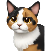 Calico sticker
