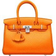 Orange birkin purse sticker