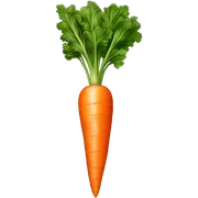 Carrot  sticker
