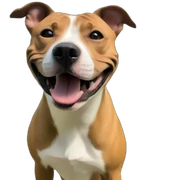 Happy staffy sticker