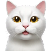 white cat with pinky nose sticker