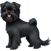 Affenpinscher
 sticker
