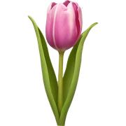 Tulip sticker