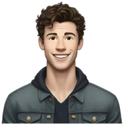 Shawn mendes sticker