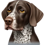 German shorthair pointer sticker
