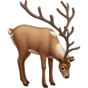 reindeer sticker