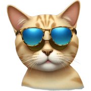 Cat with sunglasses sticker