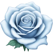frosted rose sticker