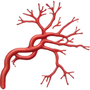 Veins and arteries of human body sticker