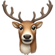Reindeer sticker