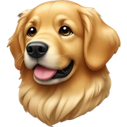 Un golden retriever dolcissimo con collare rosso sticker
