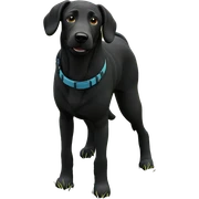 dog in the grass outdoors sticker