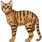 Bengal cat sticker