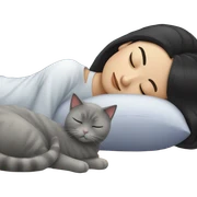Chinese black hair sleeping with gray cat sticker