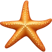 starfish sticker