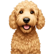 Golden doodle sticker