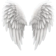 angel wings sticker
